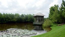 old hut on water